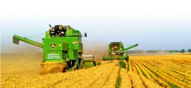  「补贴」农村粮补新变化，2类人提高补贴标准，4类人取消领取资