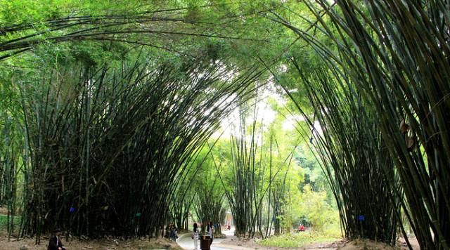 广西最“适合养老”的城市，出门就是风景区，海鲜便宜生活压力小