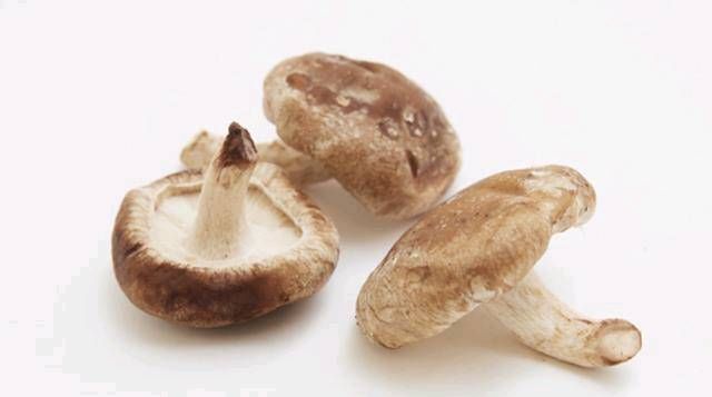  「冰箱」冰箱就是这样用的，保鲜时间是原来的两倍！你不必每天都买蔬菜。你也可以每天吃新鲜蔬菜