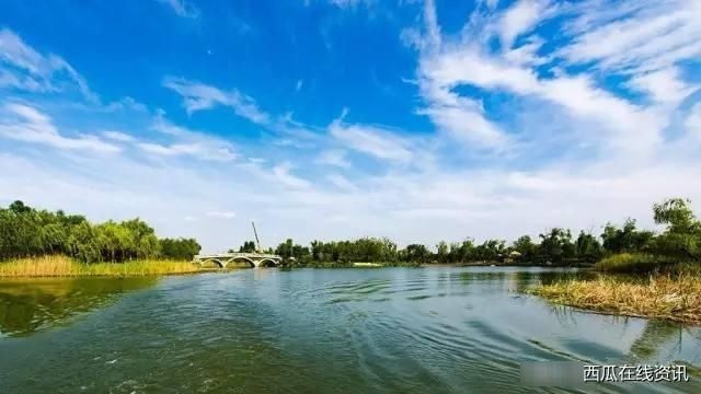  泉城：济西国家湿地公园“山东最美公园”，泉城济南的新名片