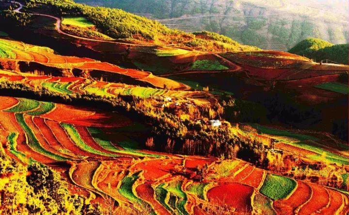 3月云南，这里最值得去！