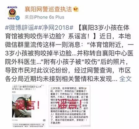 有组织造谣狗咬伤小孩儿,这个锅决不能背!