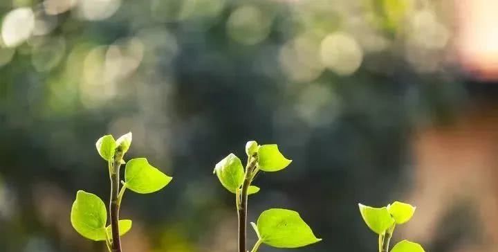  [方法]49种提升能量的方法