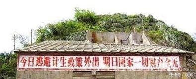 计生新规 提倡生育两个子女, 网友 只生一个好国家来养老