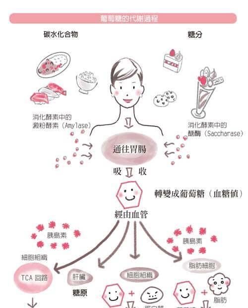  淡斑@3个简单淡斑延缓衰老方法学起来,为你的肌肤做出改变