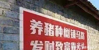  【衰减率】农村光伏发电“遇冷”，专家免费都不装老农算一笔账