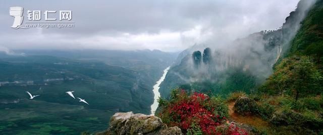 今年夏天，贵州突如其来地火了!