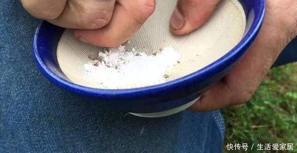 #吸收水分#家养植物烂根黄叶?不要慌,用2种''常见药''抢救,见效真快