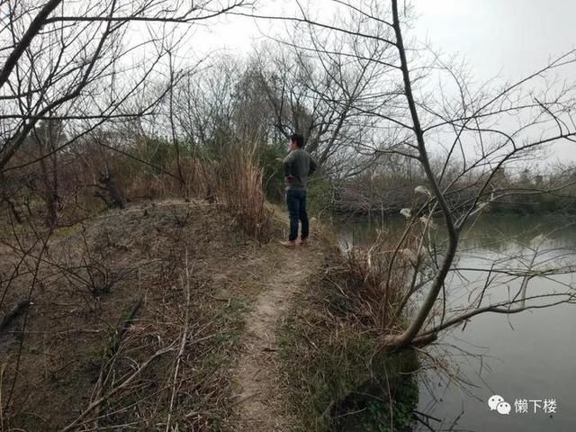  「蚕豆」春春欲动丨缠着火桑的野蔷薇，耳朵很多的蚕豆花，这里的春天很性感