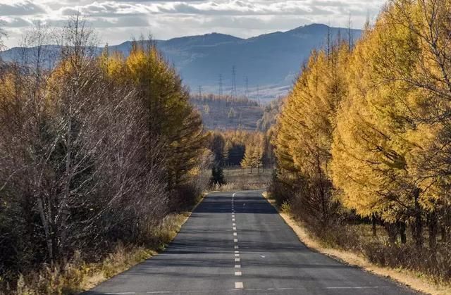 自驾篇｜一条景美人少公路编号X313观光公路！