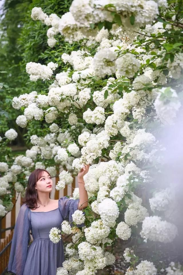 有些人在成都生活了20年，依然是个游客！