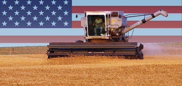  【世界】为什么美国赔偿金也要向中国出口粮食？ 用心险恶，值得