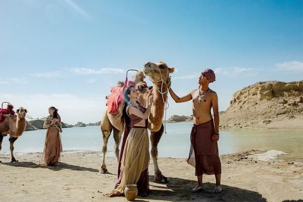 可可西里无人区  盐湖沙漠雅丹雪山湖泊草原原始风貌生机盎然