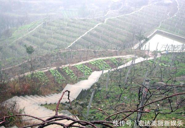 重庆最新14座贫困县