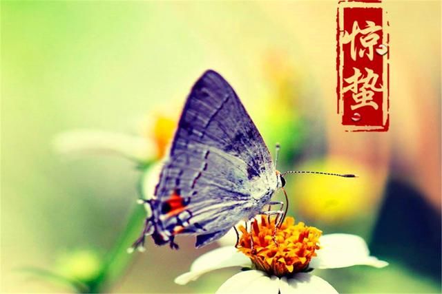 俗语：大寒地不冻，惊蛰地不开，啥意思？今年有没有“倒春寒”？