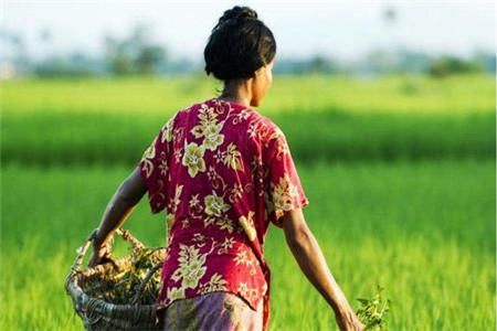 2019年女性户籍新政策，出嫁女可以分户也可申请宅基地了