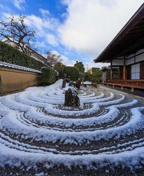  「花园」禅宗花园，一个没有蚊虫的美丽花园！