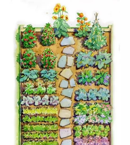 设计案例:怎样创建校园农场的蔬菜花园? – 69农业规划设计