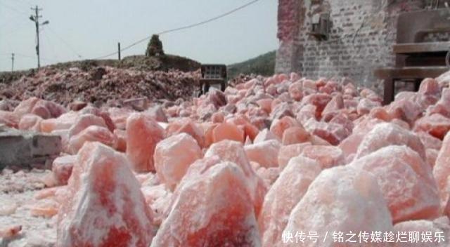 在中国烂大街的东西,去到了日本就变成3万一斤,国人疯狂抢购