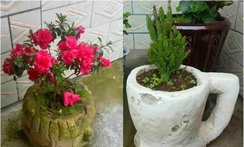  [生活]40岁之前，赚钱养家，40岁之后，种菜养花！