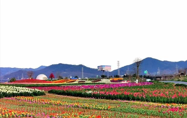 赏花踏青正当时 蓉城首届花朝季来了【2020热门旅游景点】