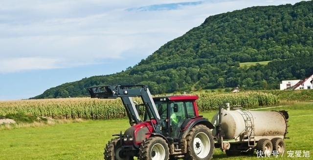  「城里人」如果城里人到农村生活，能坚持多久呢？