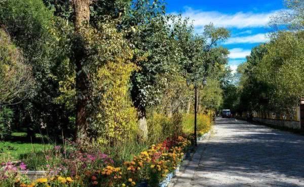 西藏用他的……彻底征服了全世界!