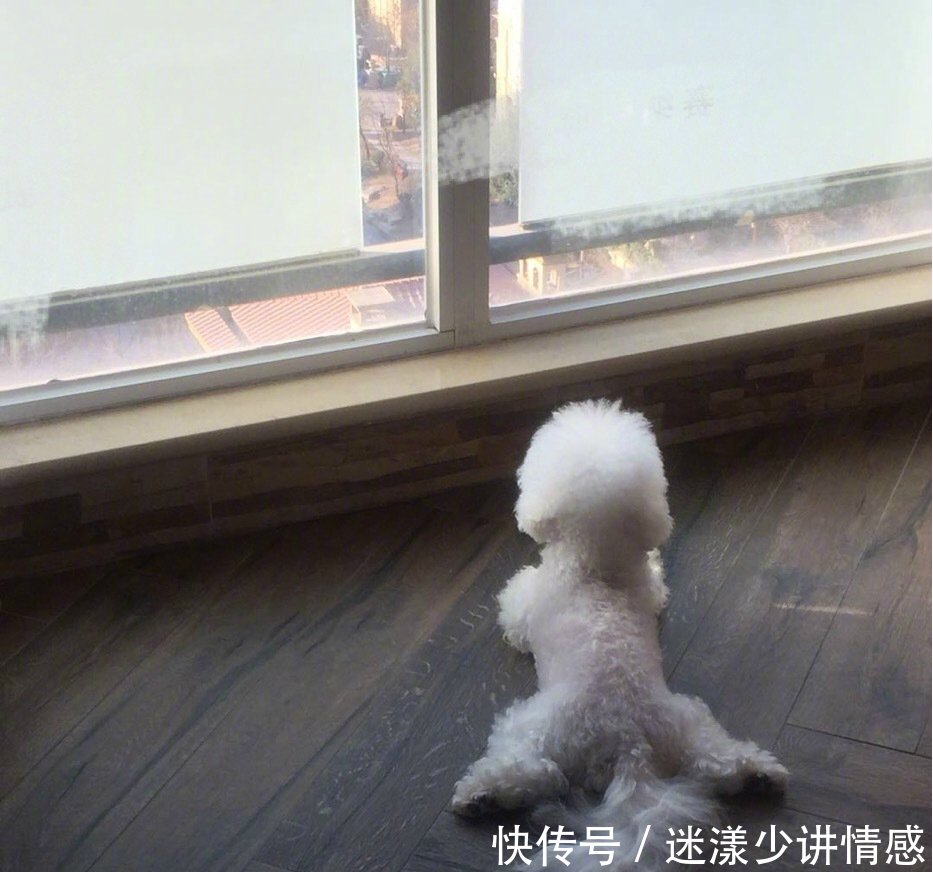 赵丽颖学毛球劈叉姿势回应被怀孕传闻，工作室俏皮评论却被骂惨