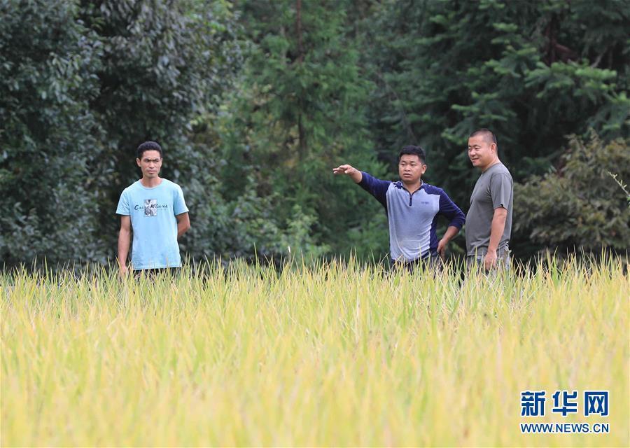 明月寄相思 家国总关情——诗词引出的中秋故事