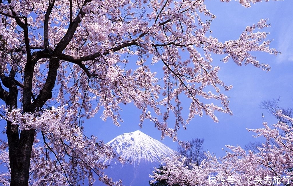 日本人来中国旅游也疯狂购物，日本游客都买了什么？网友：笑了