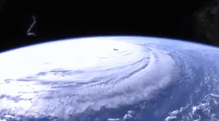 新书大爆黑料,两名“主要配角”出面辟谣,特朗普:真心感谢