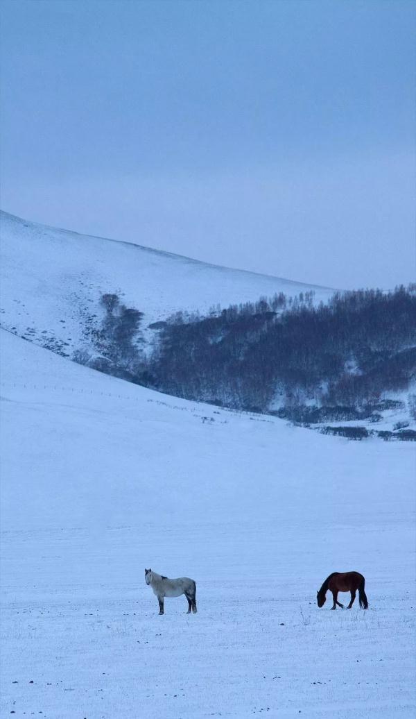 雪里山河，水墨中国