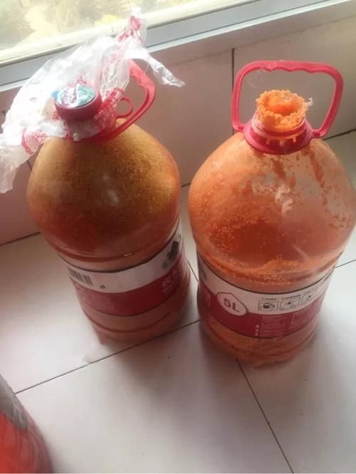 【自制】钓友分享自制的打窝饵料,重新调配效果好!