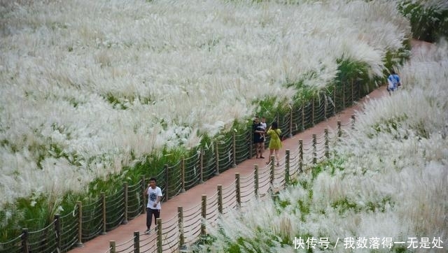 中秋节离城区最近的打卡地，不收门票早晚人很多，你想去看看？