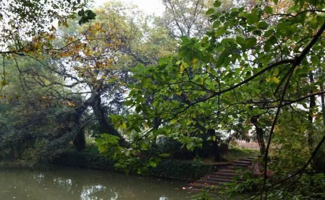 两条运河孕育、滋养出了桐乡这个千年风情古镇