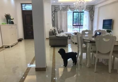  [漂亮]别再说农村脏了！晒晒我家房子，非常漂亮，村民都羡慕我