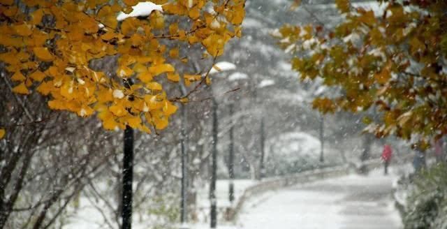 华北初雪“安排”上了，海南三亚游正值旺季，为何游客反响不高？