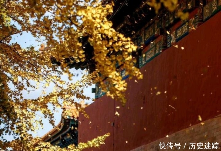 来北京故宫就应冬天来,雪后的美景如约而至,有没有想来打卡呢?