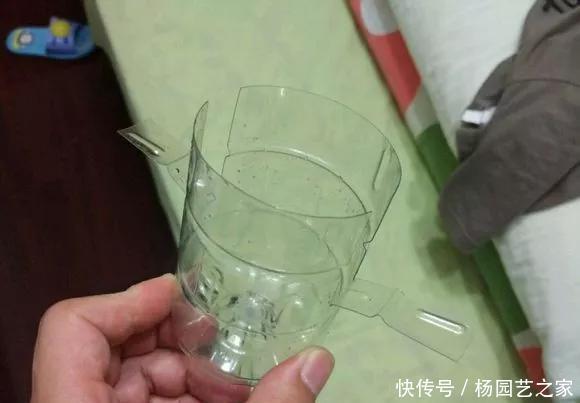  扦插：养花技巧：不到3分钟，塑料瓶做成扦插神器，7天长出大白根！