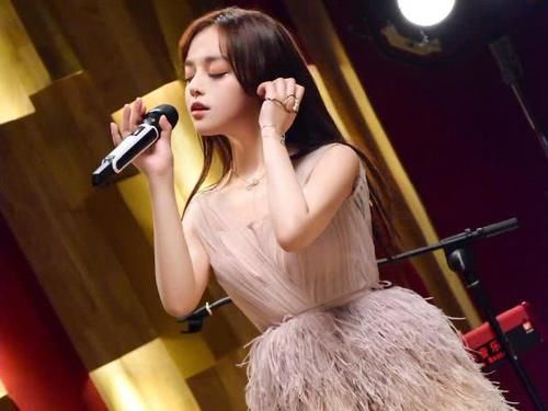 「vocal类歌手」歌手所有vocal歌手的终极目标是什么达到后声音会变成啥样