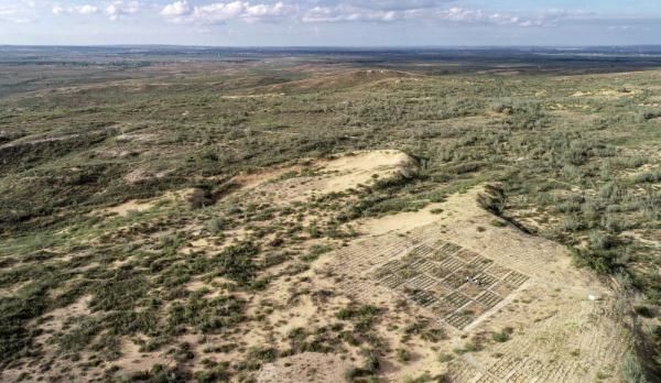  【西北】中国西北沙漠“穿绿衣”给全球旱区生态治理提供样板