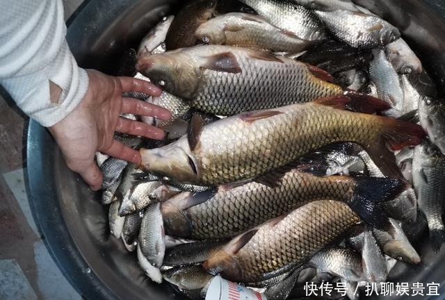 「封过」昆明禄劝封过水库:典型钓点案例,详解野钓灌溉水库钓鱼攻略