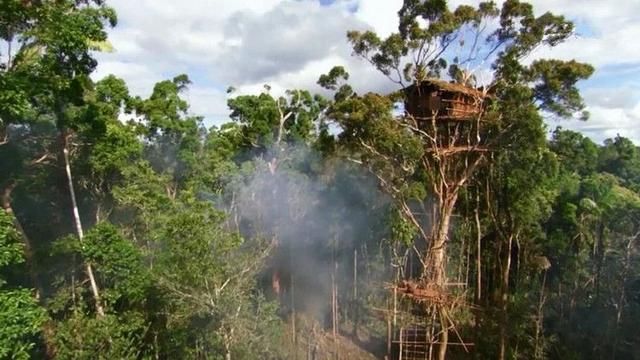 非洲的一个原始部落，房屋在40米高树上，通过巫术与自然界交流