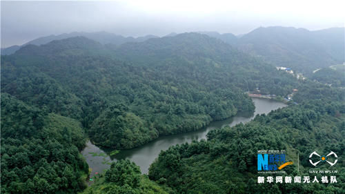 航拍贵州大方大海坝森林公园