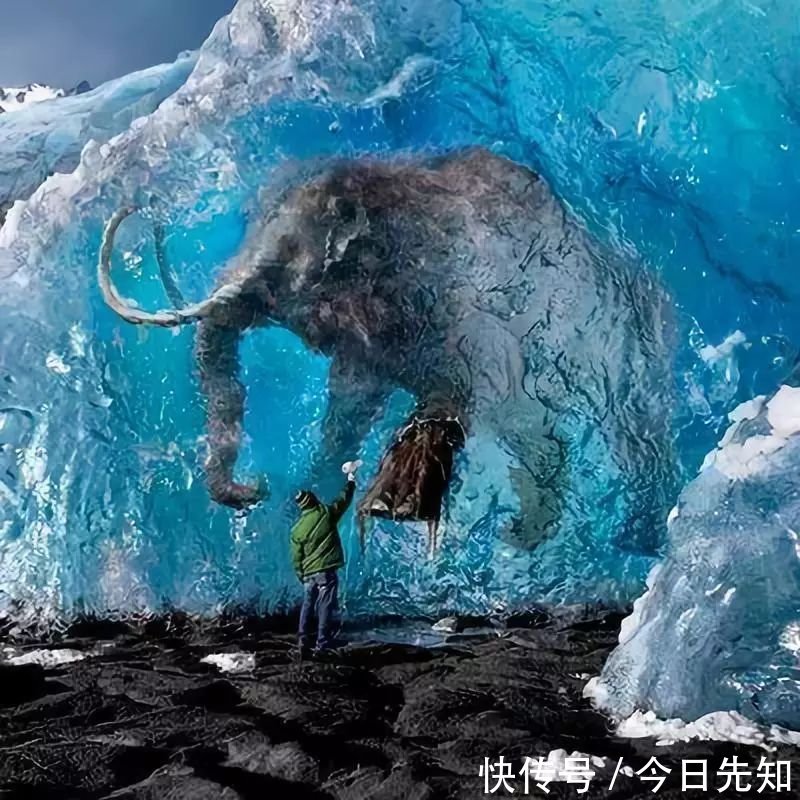 500年难得一见的顶级照片，让人叹为观止