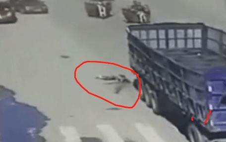 浙江男子开货车碾死碰瓷男, 家属索赔巨款, 交警