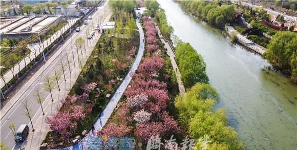  『土坡』“绽放”在春天里！济南小清河土坡河堤变身休闲公园