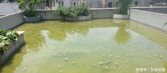 #家宅#在家宅了12天,这群钓鱼人也待不住了,花式钓鱼谁更强