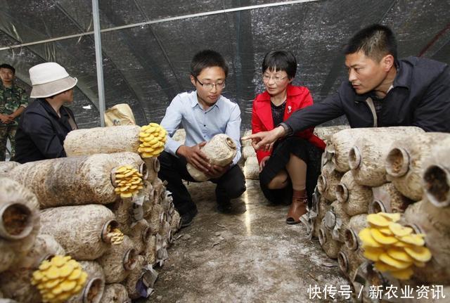 农民种植致富：亩产量8000斤，一斤卖10元，一年收入几十万