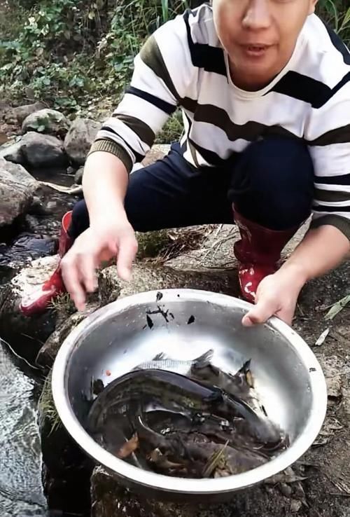  [鱼儿]老祖宗留下来的捕鱼工具，野生小鱼一旦钻进去就出不来了